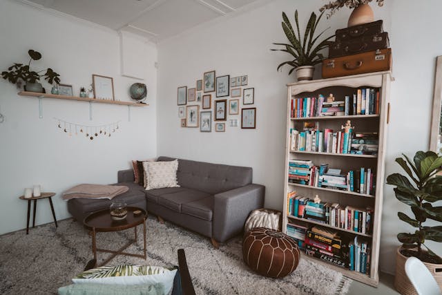 cozy-living-room-with-gray-sofa-bookshelf-gallery-wall-and-plants cozy-living-room-with-gray-sofa-bookshelf-gallery-wall-and-plants
