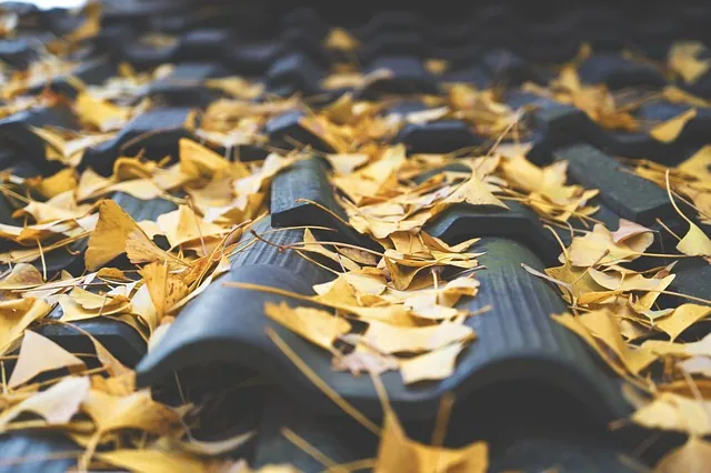 Autumn leaves on roof